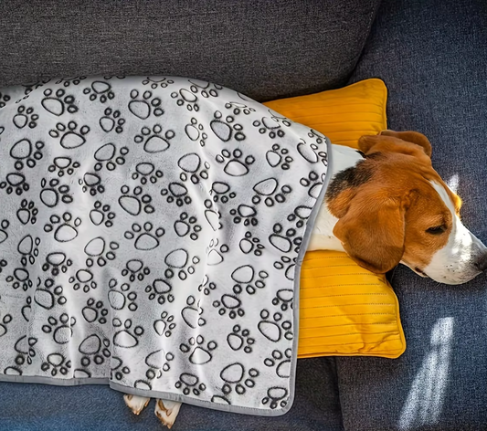 "Couverture douillette pour chien avec motif de pattes, tissu moelleux gris, décor intérieur élégant et confortable."