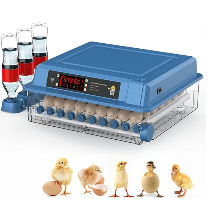 "Couveuse automatique bleue pour poulailler, 15 œufs, avec écran digital, garantit incubation optimale et éclosion sûre."