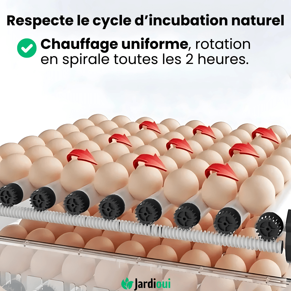 "Couveuse automatique bleue pour poulailler, 15 œufs, avec écran digital, garantit incubation optimale et éclosion sûre."