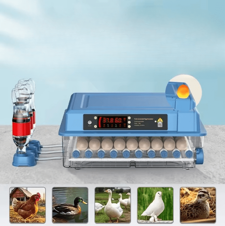 "Couveuse automatique bleue pour poulailler, 15 œufs, avec écran digital, garantit incubation optimale et éclosion sûre."