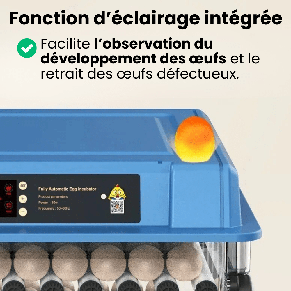 "Couveuse automatique bleue pour poulailler, 15 œufs, avec écran digital, garantit incubation optimale et éclosion sûre."