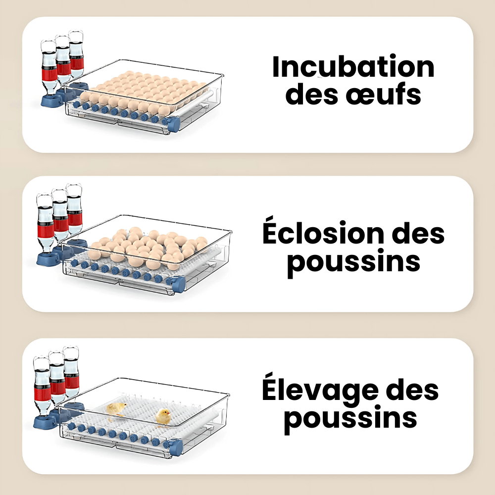 "Couveuse automatique bleue pour poulailler, 15 œufs, avec écran digital, garantit incubation optimale et éclosion sûre."