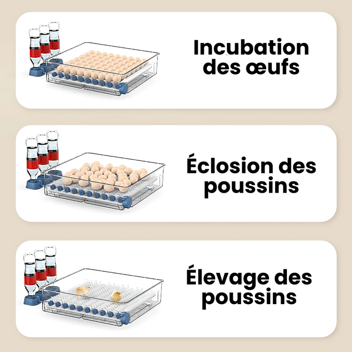 "Couveuse automatique bleue pour poulailler, 15 œufs, avec écran digital, garantit incubation optimale et éclosion sûre."
