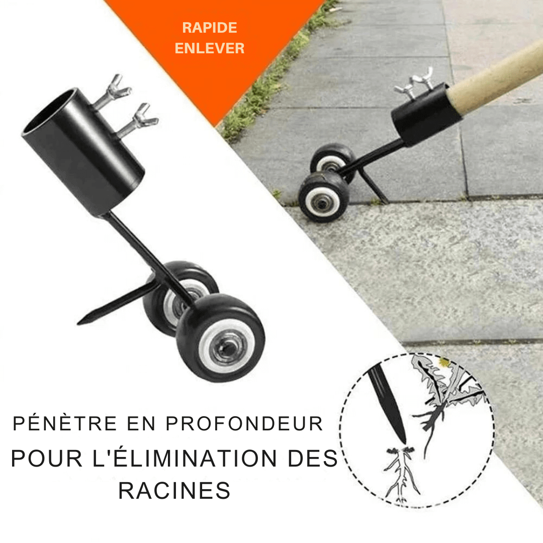 Crochet de désherbage en acier inoxydable, manche antidérapant ergonomique, idéal pour enlever les mauvaises herbes facilemen
