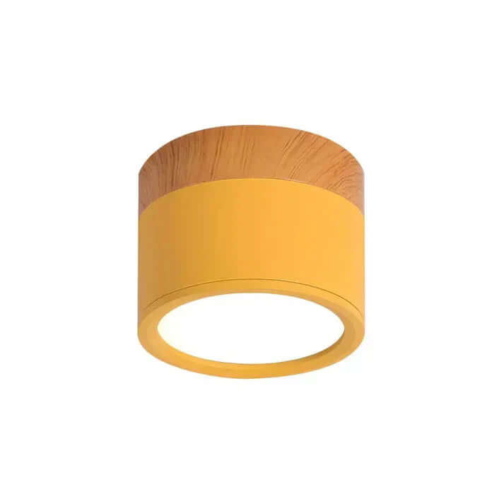 Plafonnier LED Cylindre - Éclairage Moderne pour Couloir