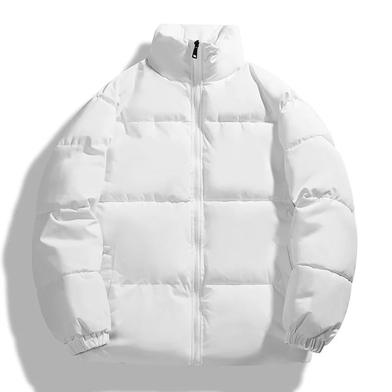 "Doudoune homme style moderne, col montant, couleurs sobres, isolation avancée pour confort et chaleur en hiver."