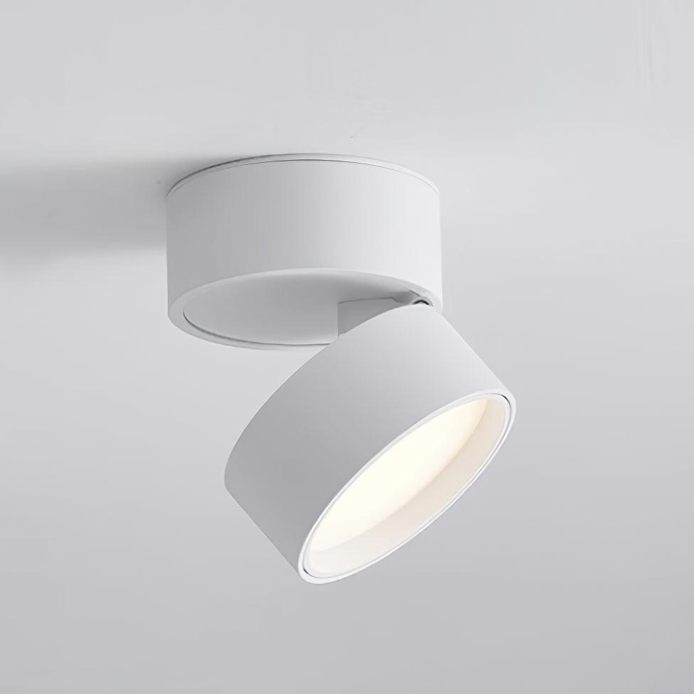 Plafonnier Lumineux Réglable - Éclairage Intérieur Moderne