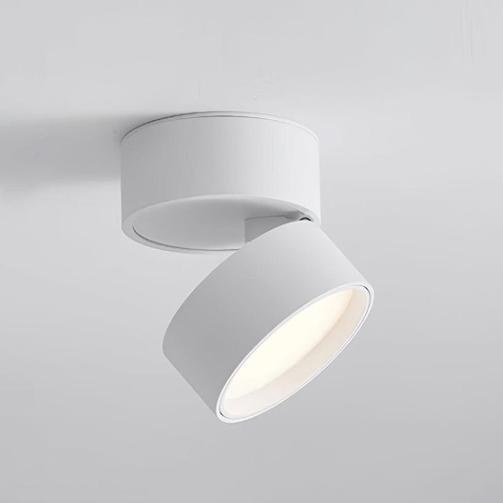 Plafonnier Lumineux Réglable - Éclairage Intérieur Moderne