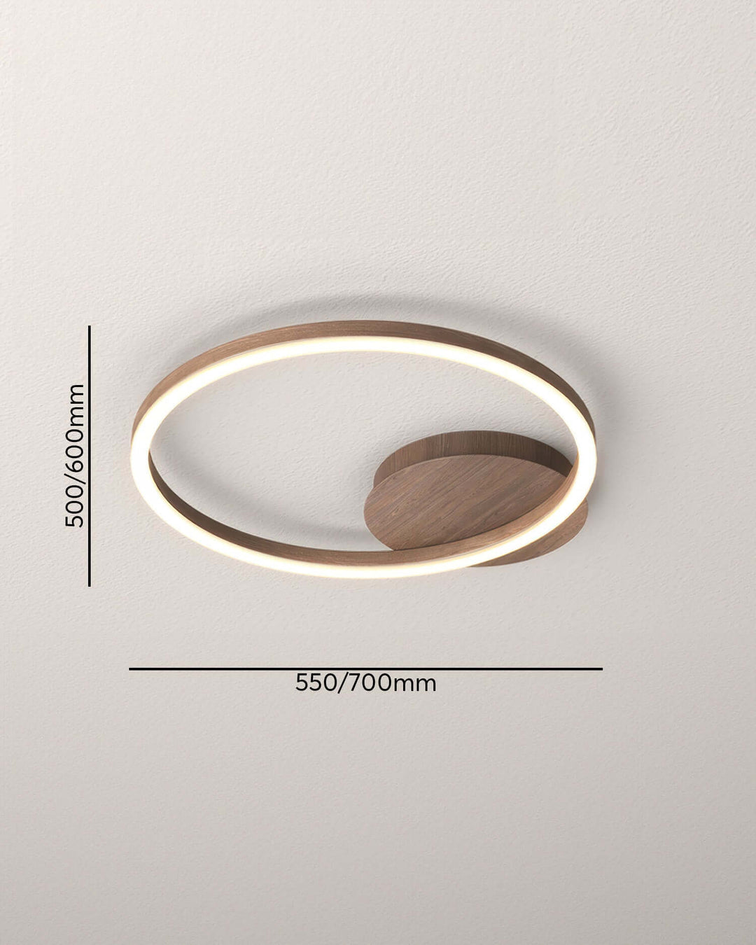Elegant Ring Ceiling Luminaire