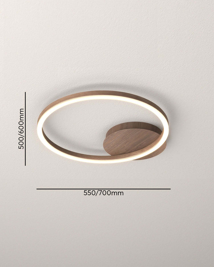 Elegant Ring Ceiling Luminaire