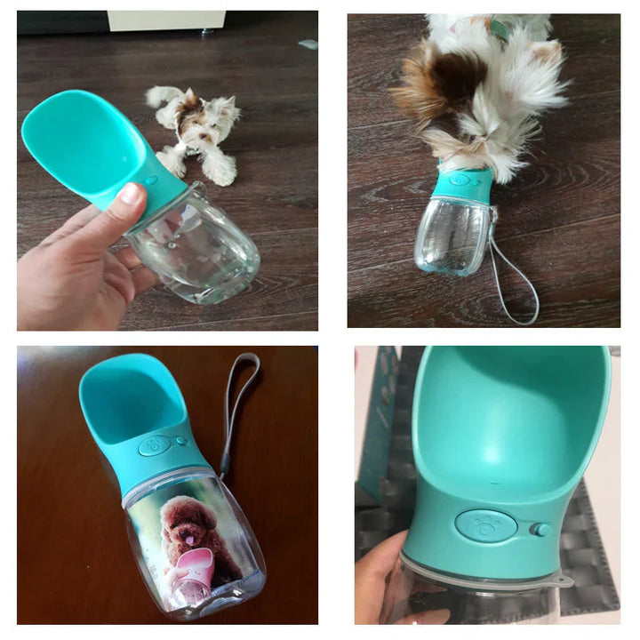 "Gourde portable étanche pour chien avec bol intégré, élégante et compacte pour hydratation facile en déplacement."