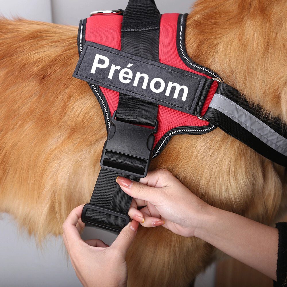 Harnais anti-traction personnalisable pour chien, solide, réfléchissant, avec bande réfléchissante et intérieur rembourré.