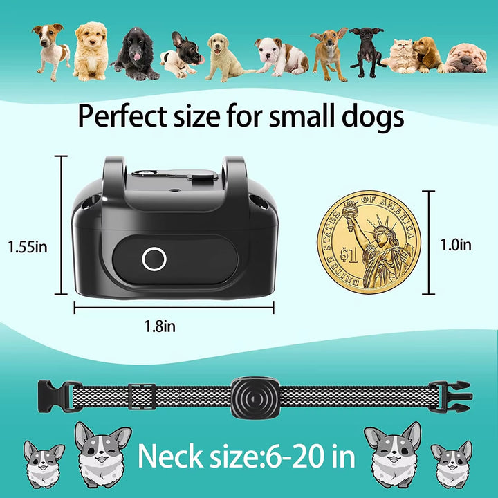 Collier Anti-Aboiement – Solution Douce pour Petits Chiens