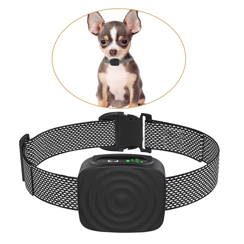 Collier Anti-Aboiement – Solution Douce pour Petits Chiens