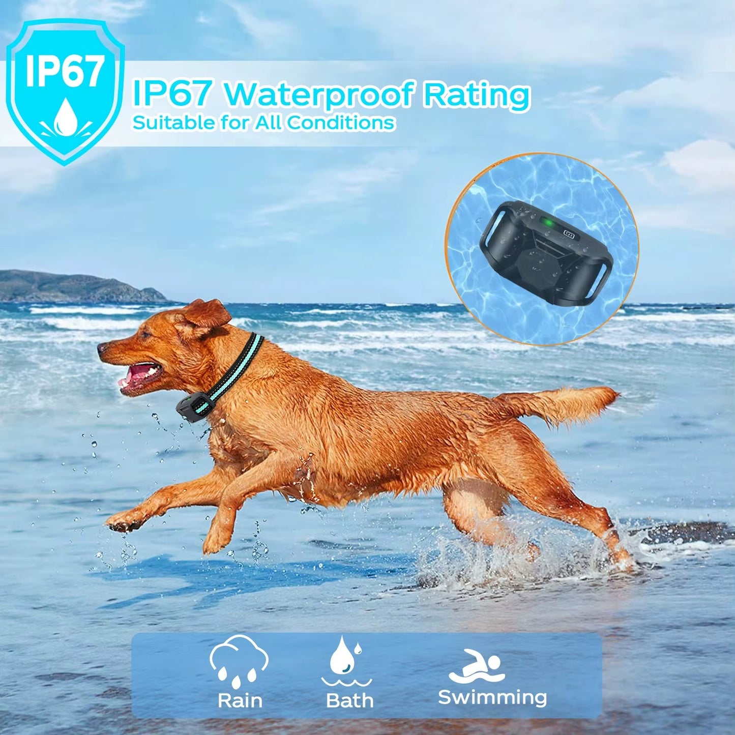 Collier de Dressage Étanche et Rechargeable pour Chiens 1000m