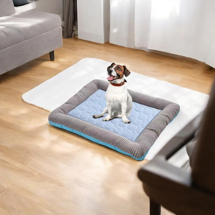 Tapis Rafraîchissant pour Animaux - Confort et Fraîcheur