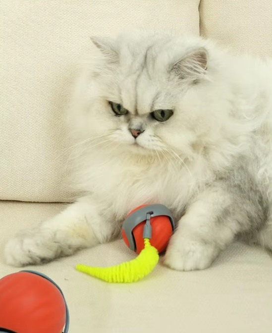 "Jouet pour chat automoteur orange avec mouvements interactifs, stimulant l'instinct de chasse et offrant du divertissement."
