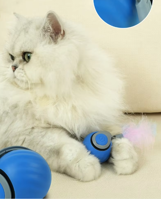 "Jouet pour chat automoteur orange avec mouvements interactifs, stimulant l'instinct de chasse et offrant du divertissement."