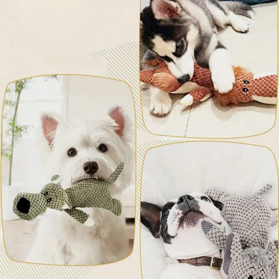 Jouet robuste pour chien, couleur vive, texture texturée, idéal pour mâcher, résistant et sûr pour une hygiène dentaire optim