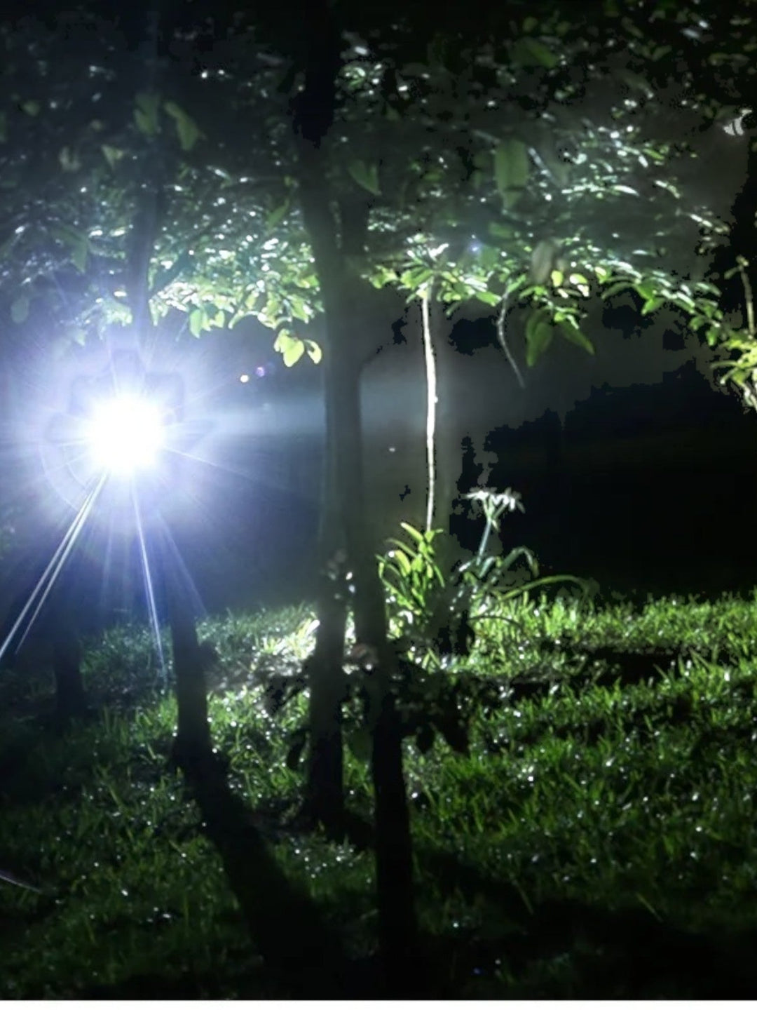 Lampe frontale étanche LED, puissante et rechargeable, avec faisceau lumineux réglable pour aventures nocturnes.