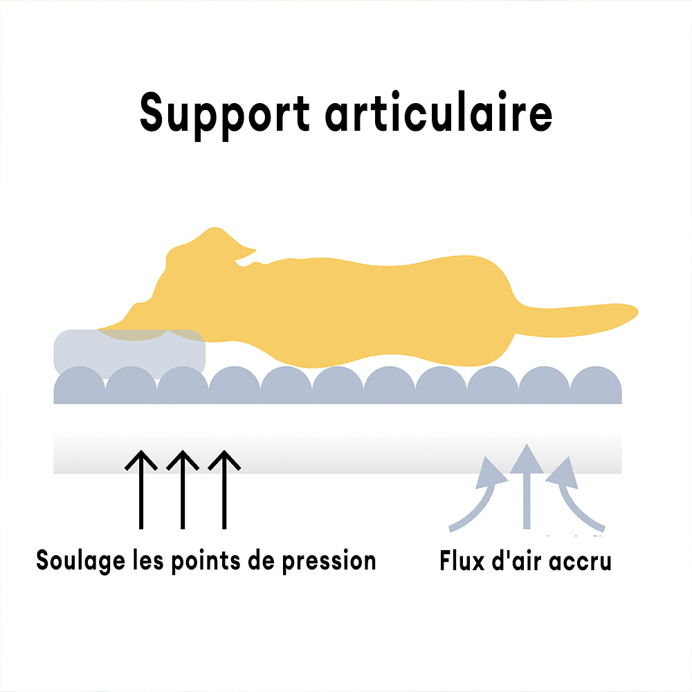 "Lit orthopédique pour chien ergonomique avec repose-tête, tissu imitation laine, soutien articulations, confort ultime."