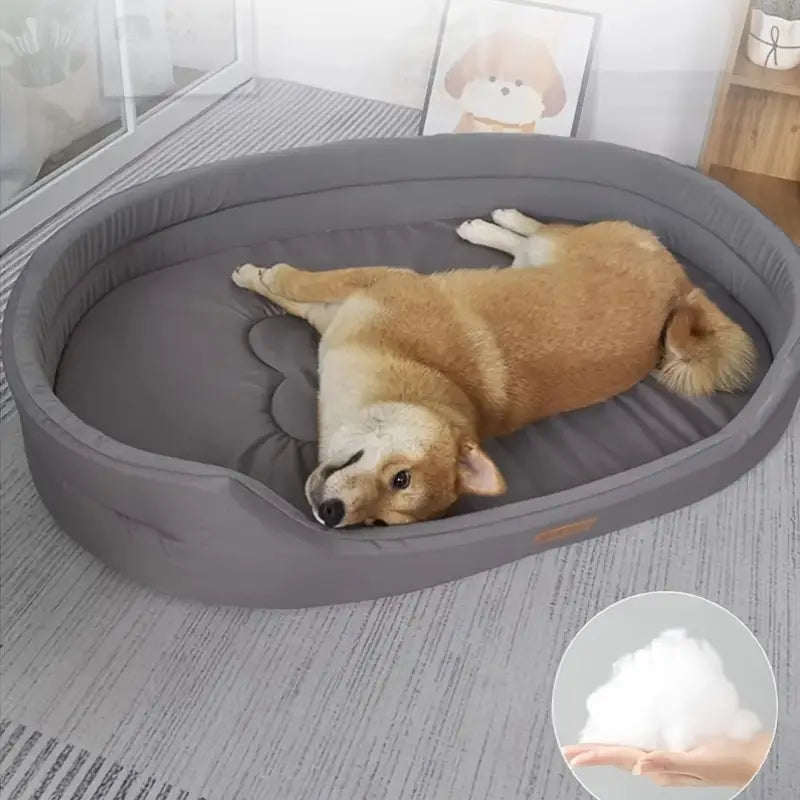 "Lit orthopédique pour chien, mousse mémoire, bords surélevés, housse lavable, couleurs variées, confort et soutien optimal."