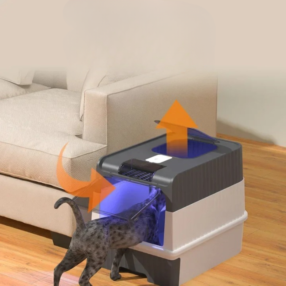 Litière auto-nettoyante stérile pour chats, design moderne, bac spacieux avec capteurs intelligents pour un intérieur hygiéni
