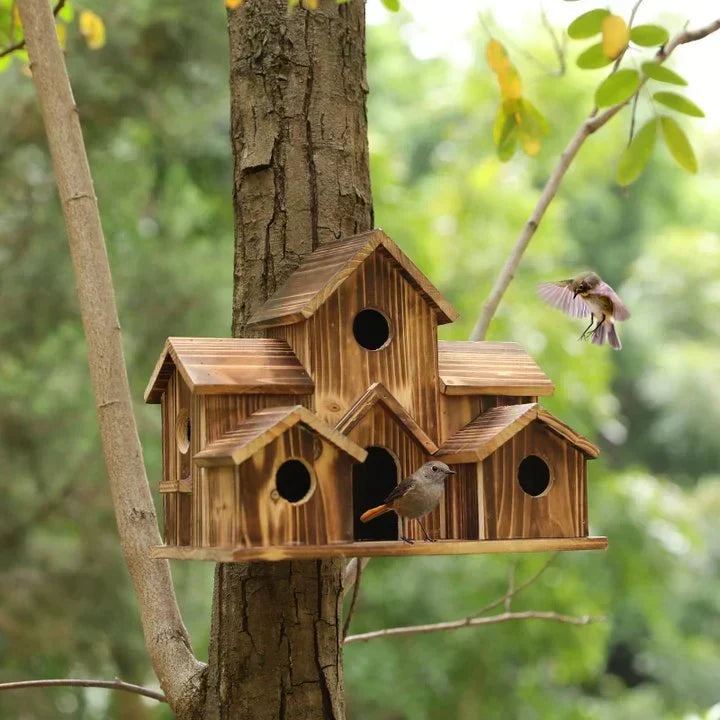 Maison d'oiseaux élégante en bois avec 6 trous, idéale pour attirer diverses espèces et embellir votre jardin.