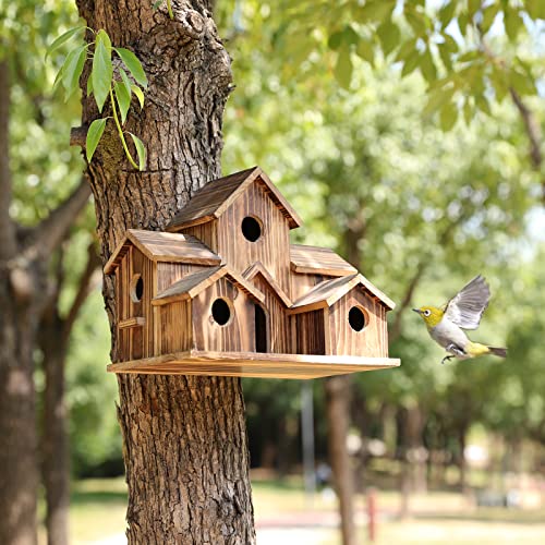 Maison d'oiseaux élégante en bois avec 6 trous, idéale pour attirer diverses espèces et embellir votre jardin.