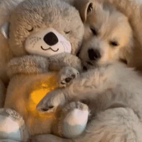 Peluche apaisante douce koala ou lapin, 30 cm, pour enfants et adultes, en tissu respirant, lavable en machine.