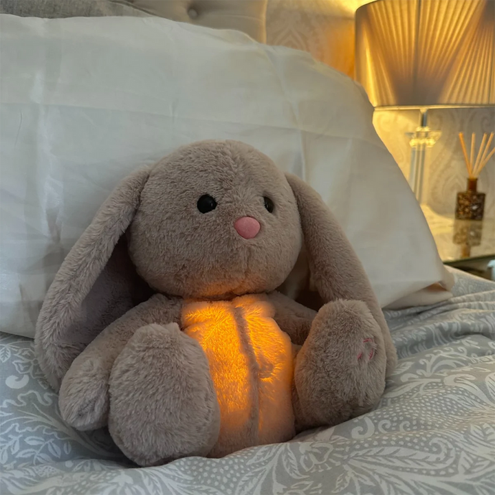 Peluche apaisante douce koala ou lapin, 30 cm, pour enfants et adultes, en tissu respirant, lavable en machine.