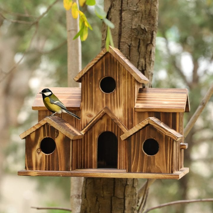"Photo de nichoir élégant et robuste, conçu en matériaux résistants aux intempéries, offrant un abri sûr pour oiseaux."
