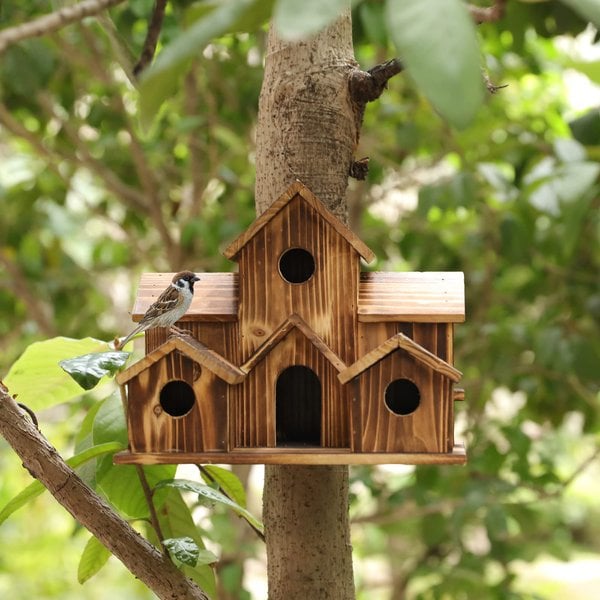 "Photo de nichoir élégant et robuste, conçu en matériaux résistants aux intempéries, offrant un abri sûr pour oiseaux."