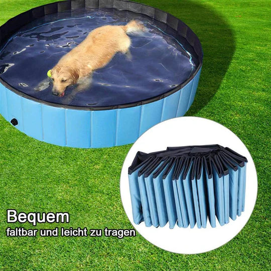 Piscine pliable pour chiens, résistante et antidérapante, idéal pour jardin ou terrasse, facile à monter et transporter.