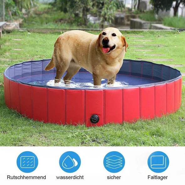 Piscine pliable pour chiens, résistante et antidérapante, idéal pour jardin ou terrasse, facile à monter et transporter.