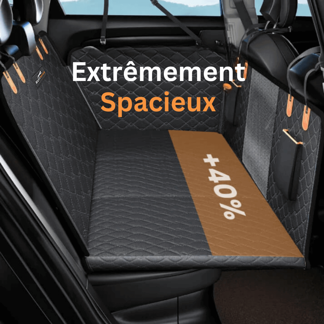 "Protecteur de siège auto pour chien imperméable, durable, fixations sécurisées pour voiture propre, adaptés toutes tailles."