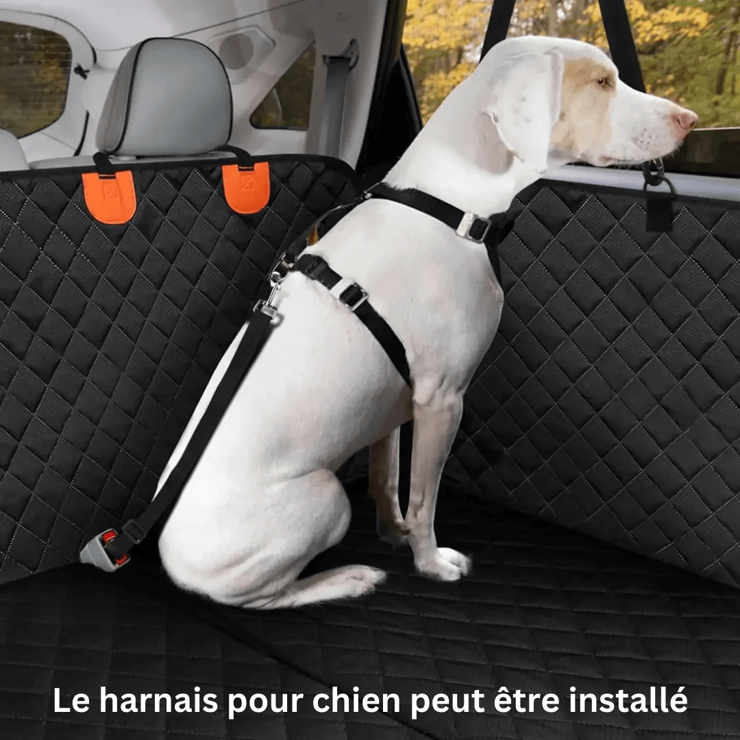 "Protecteur de siège auto pour chien imperméable, durable, fixations sécurisées pour voiture propre, adaptés toutes tailles."