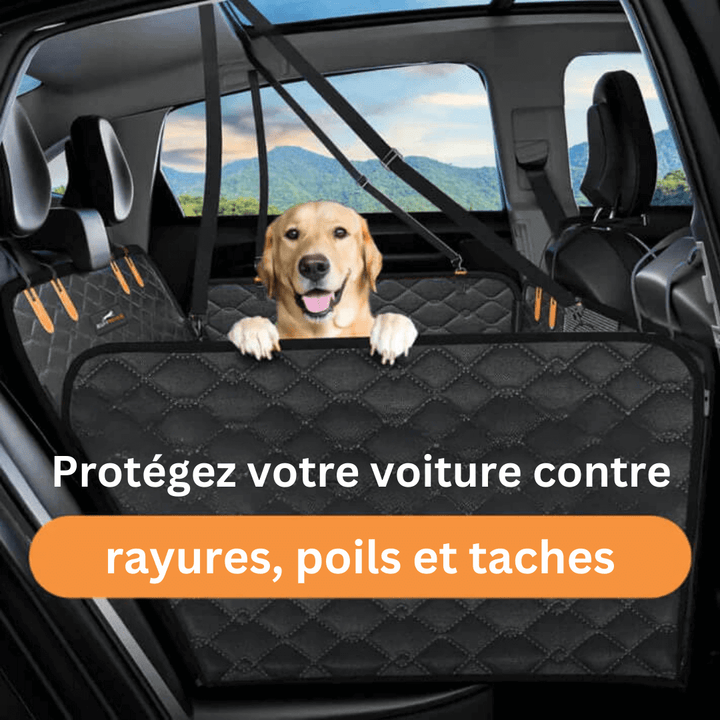 "Protecteur de siège auto pour chien imperméable, durable, fixations sécurisées pour voiture propre, adaptés toutes tailles."
