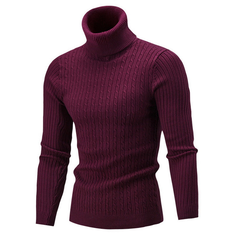 "Pull col roulé homme élégant et chaud, design sophistiqué, parfait pour l'hiver, couleur unie, convient à toutes occasions."