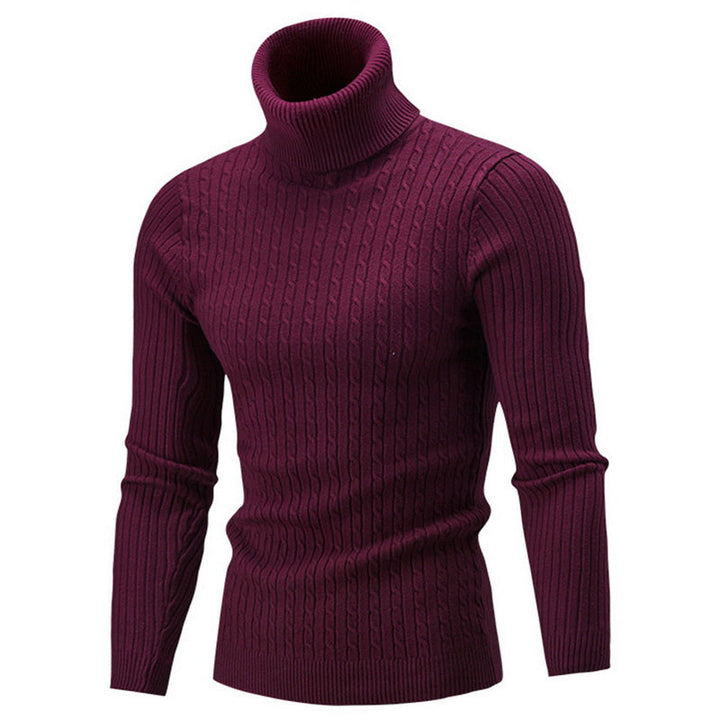 "Pull col roulé homme élégant et chaud, design sophistiqué, parfait pour l'hiver, couleur unie, convient à toutes occasions."