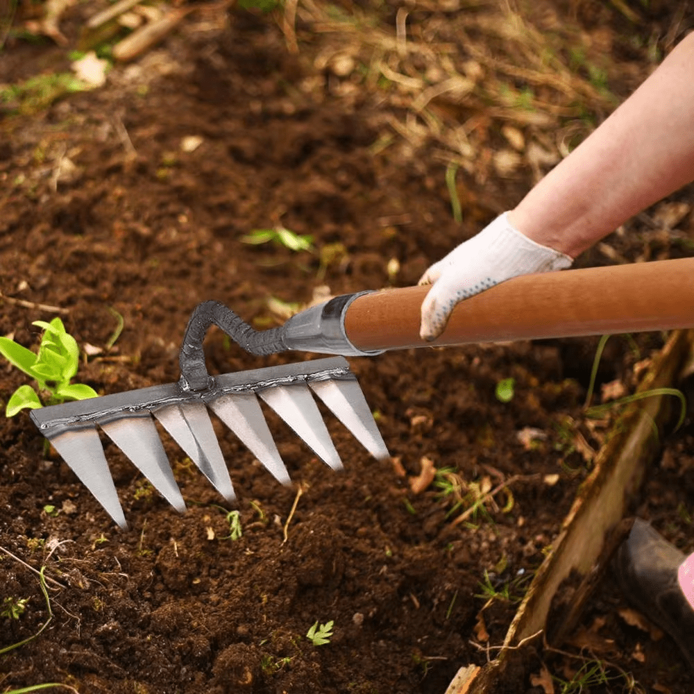 "Râteau de désherbage Jardioui en acier, efficace pour arracher mauvaises herbes du jardin, disponible en 5, 6, 7 dents."