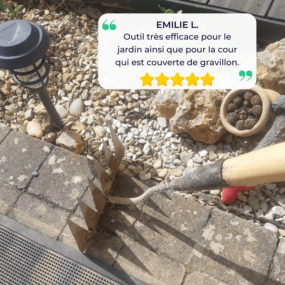 "Râteau de désherbage Jardioui en acier, efficace pour arracher mauvaises herbes du jardin, disponible en 5, 6, 7 dents."