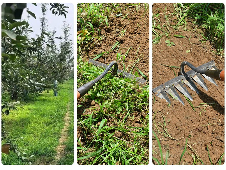 "Râteau de jardin en acier au carbone, 5 dents, robuste et polyvalent, pour désherber et ameublir le sol efficacement."