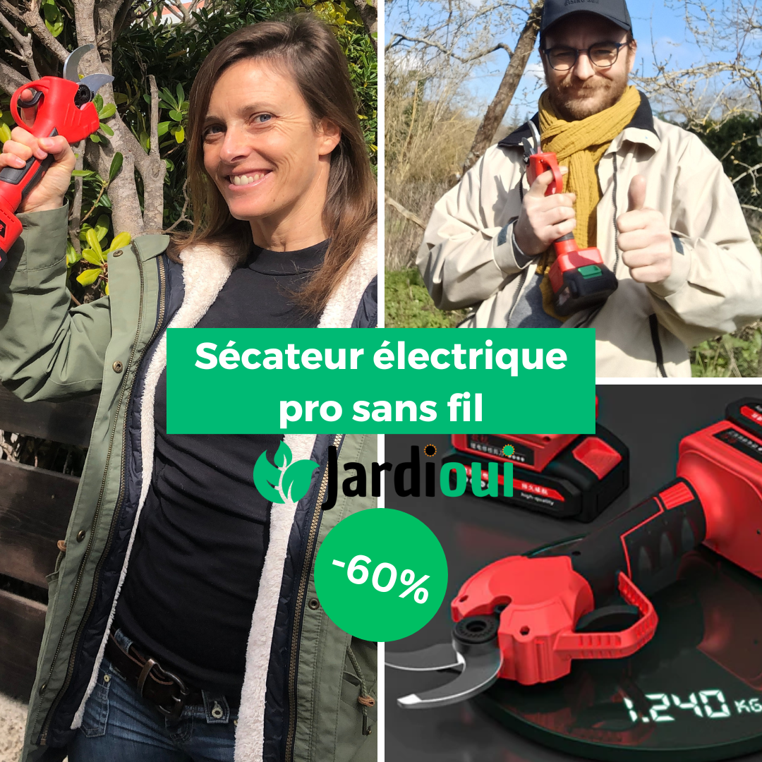 "Sécateur électrique sans fil avec lame en acier, ergonomique, batterie incluse pour jardinage efficace et sans effort."