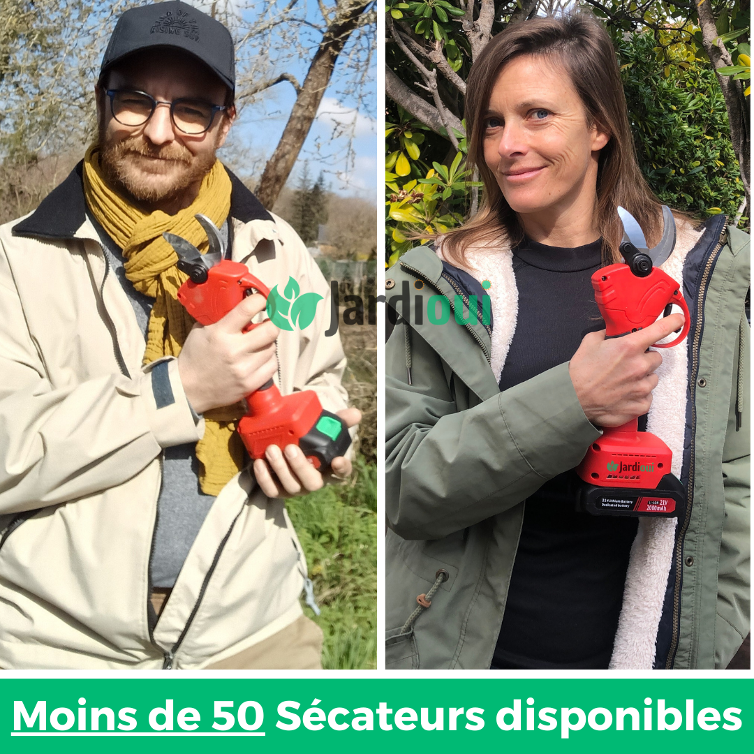 "Sécateur électrique sans fil avec lame en acier, ergonomique, batterie incluse pour jardinage efficace et sans effort."