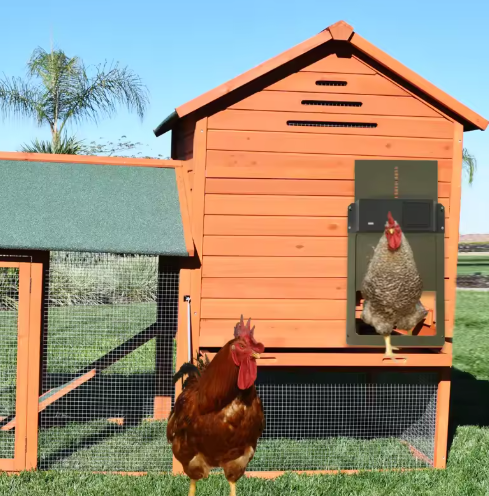 Système de porte automatique poulailler robuste, protection sécurité poules, commande personnalisée, multicolore extérieur.