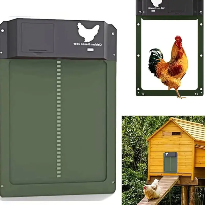 Système de porte automatique poulailler robuste, protection sécurité poules, commande personnalisée, multicolore extérieur.