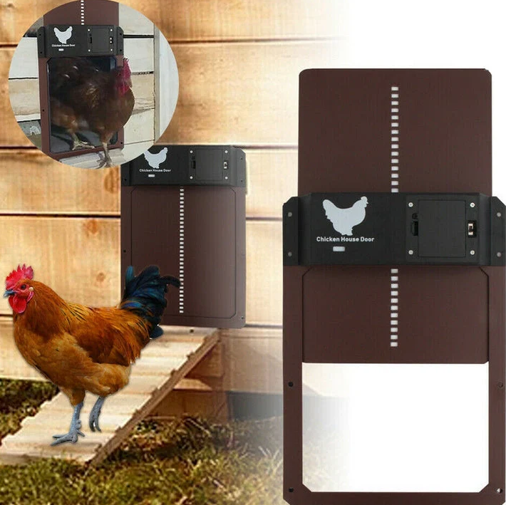 Système de porte automatique poulailler robuste, protection sécurité poules, commande personnalisée, multicolore extérieur.