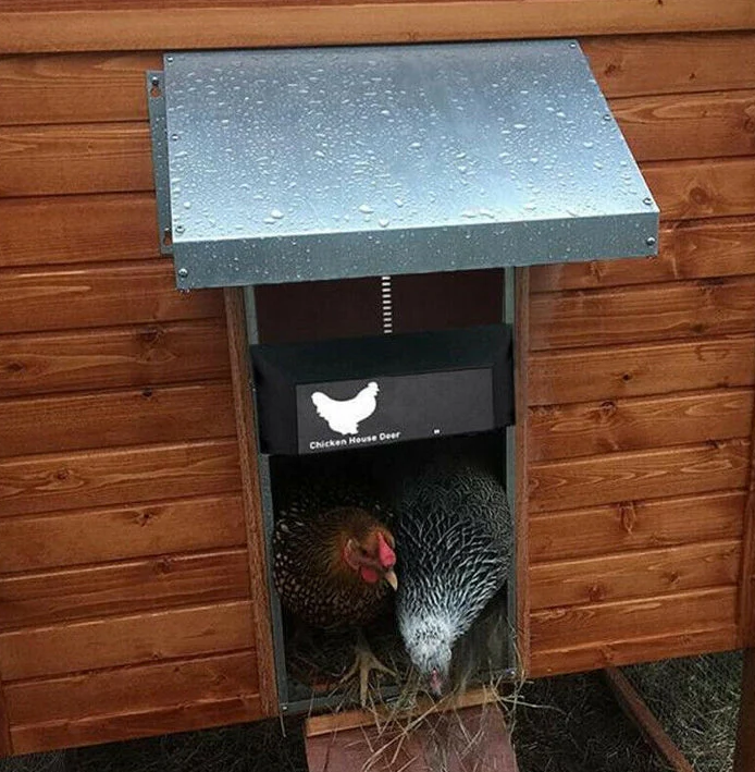 Système de porte automatique poulailler robuste, protection sécurité poules, commande personnalisée, multicolore extérieur.