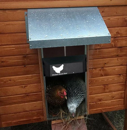 Système de porte automatique poulailler robuste, protection sécurité poules, commande personnalisée, multicolore extérieur.